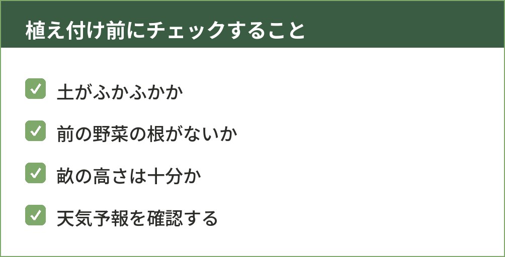 ニンニクの植え付け前に確認するポイントをまとめた図