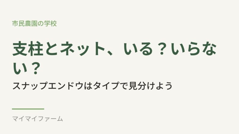 スナップエンドウ、支柱とネットは必要？タイプ別に解説 