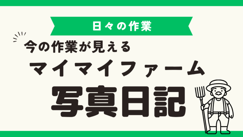 マイマイファーム写真日記 