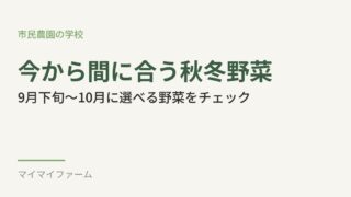 9月下旬から10月、今からでも間に合う秋冬野菜まとめ 