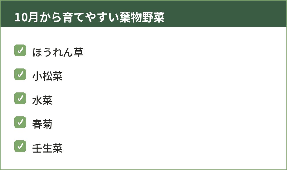 10月からでも種まきしやすい葉物野菜5種類を並べた図