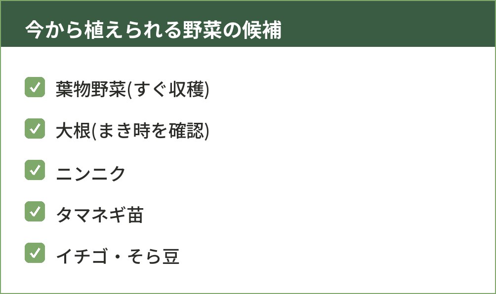 すぐ収穫できる野菜と来年収穫する野菜を分けて示した図