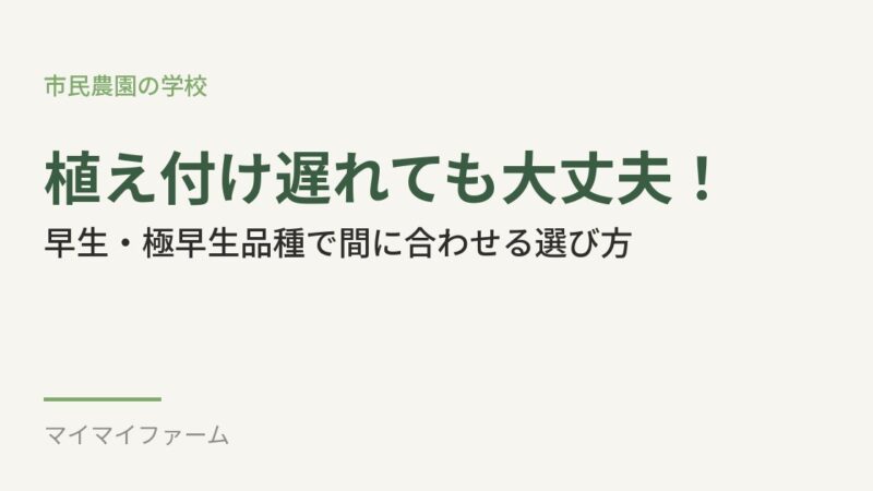 植え付けが遅れたときの品種えらび｜早生・極早生タイプで間に合わせよう 