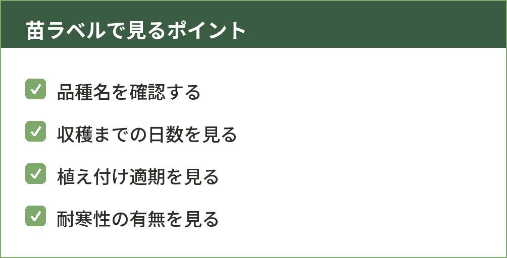 苗のラベルに書かれた品種名や収穫日数を確認するイラスト