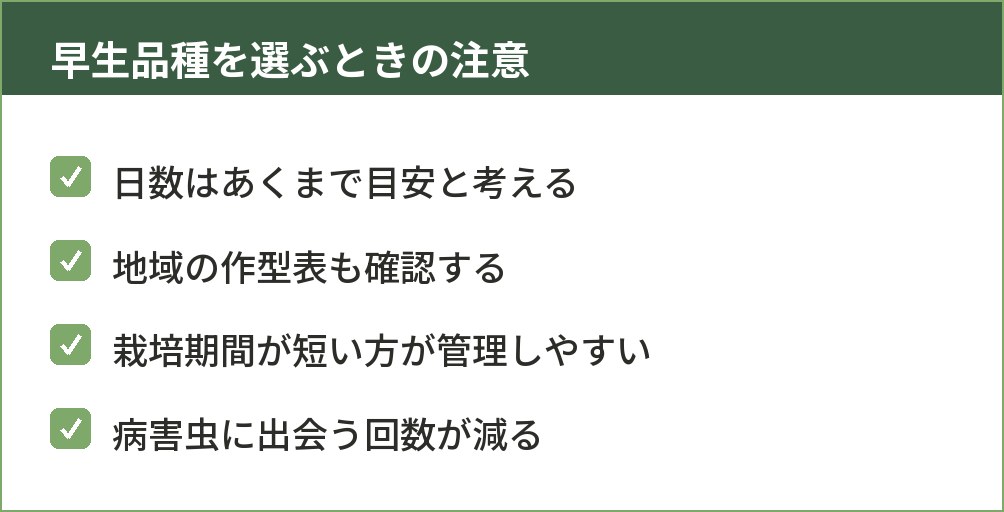 早生品種を選ぶときに気をつけることをまとめた図