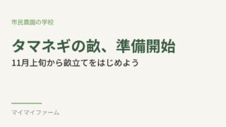 中生タマネギの畝立て、そろそろ準備をはじめよう 