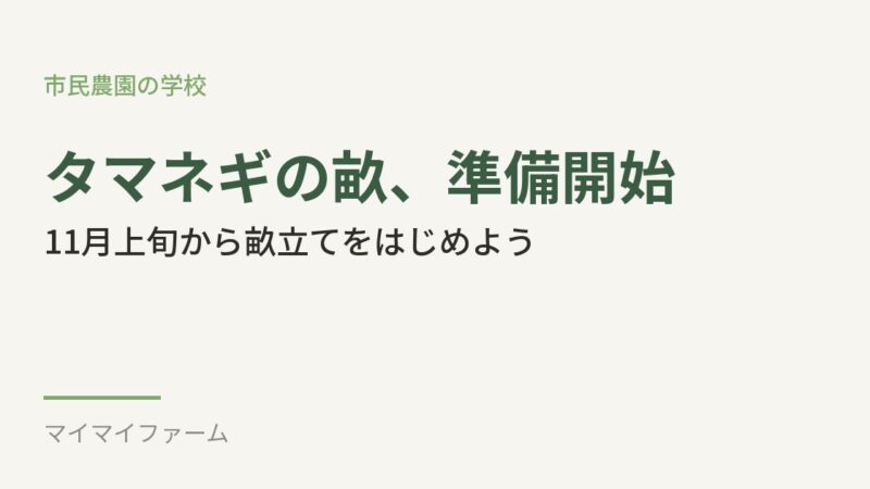 中生タマネギの畝立て、そろそろ準備をはじめよう 