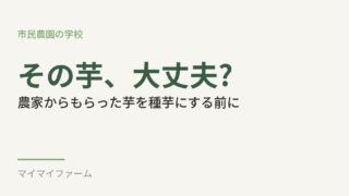 農家からもらったジャガイモ、種芋にしていい?病気のリスクをやさしく解説 
