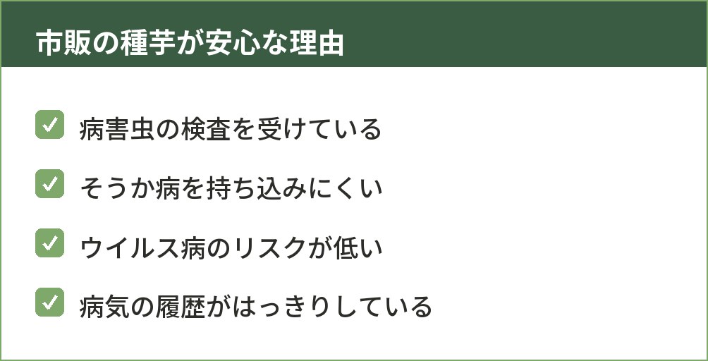 市販の種芋が安心と言われる4つの理由を示した図