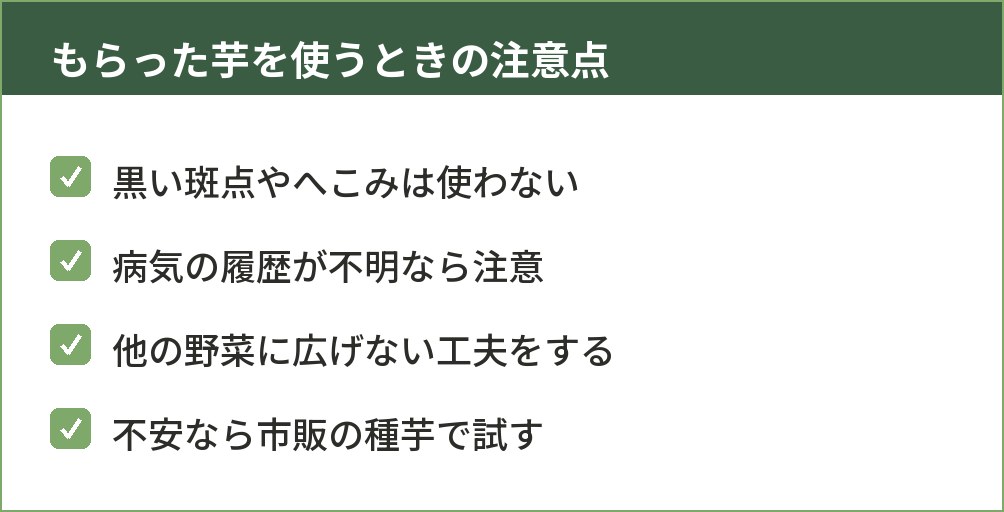 農家からもらったジャガイモを種芋にする際の注意点4つを示した図