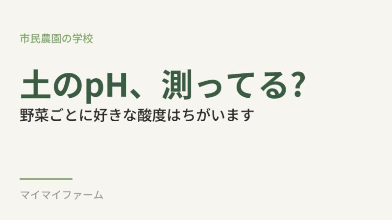 野菜によって土の酸度は違う?ジャガイモとほうれん草で見るpHと石灰の使い方 