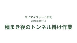 種まき後の畑しごと｜不織布とトンネルで守る秘訣 
