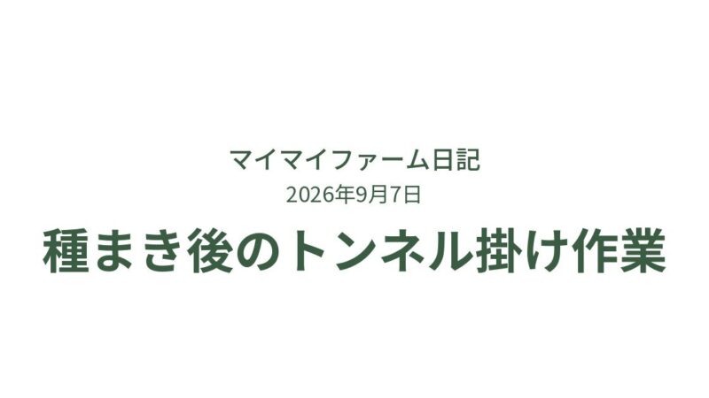 種まき後の畑しごと｜不織布とトンネルで守る秘訣 