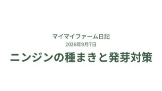 ニンジンの種まき｜発芽率を上げる工夫とコツ 
