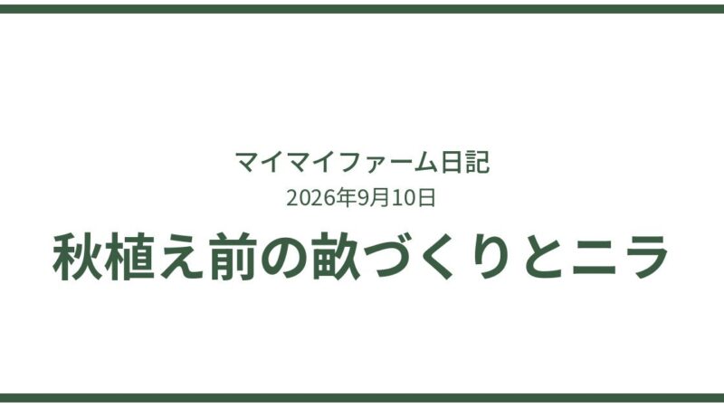 新規利用者さんを迎える準備。畑の草取りと秋植えの下ごしらえ 