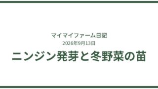 ニンジン発芽＆冬野菜の苗続々！秋の畑が賑やかに 