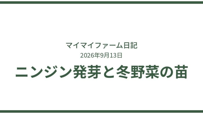 ニンジン発芽＆冬野菜の苗続々！秋の畑が賑やかに 