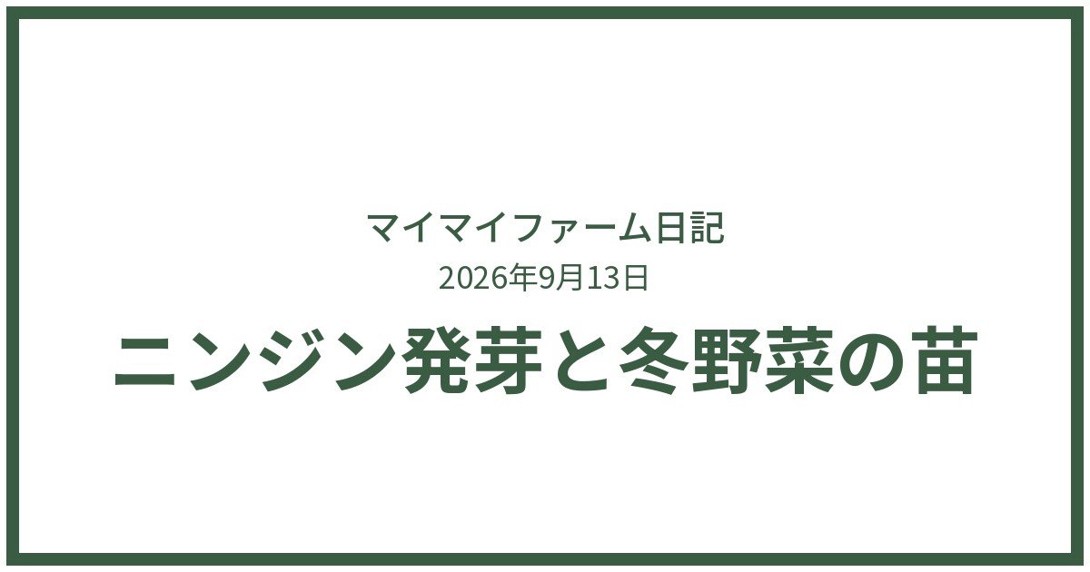 ニンジン発芽&冬野菜の苗続々!秋の畑が賑やかに
