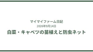 白菜・キャベツ・ブロッコリーの苗植えと防虫ネット対策 