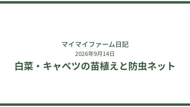白菜・キャベツ・ブロッコリーの苗植えと防虫ネット対策 