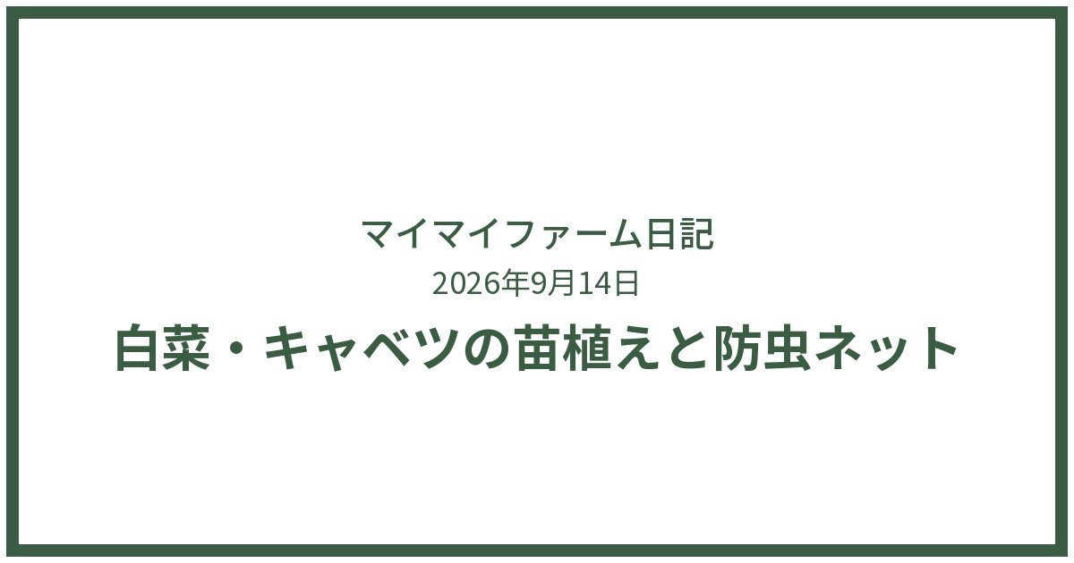 白菜・キャベツ・ブロッコリーの苗植えと防虫ネット対策