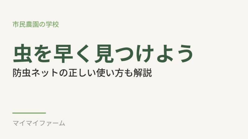 虫の早期発見と防虫ネットの正しい使い方｜初心者でもできるチェック方法 