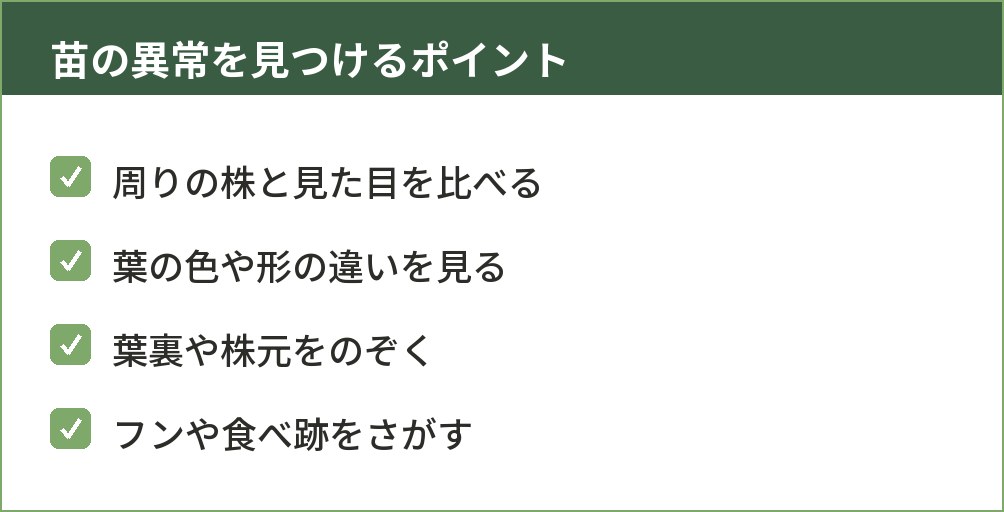 苗の異常を早く見つけるためのチェックポイントをまとめた図