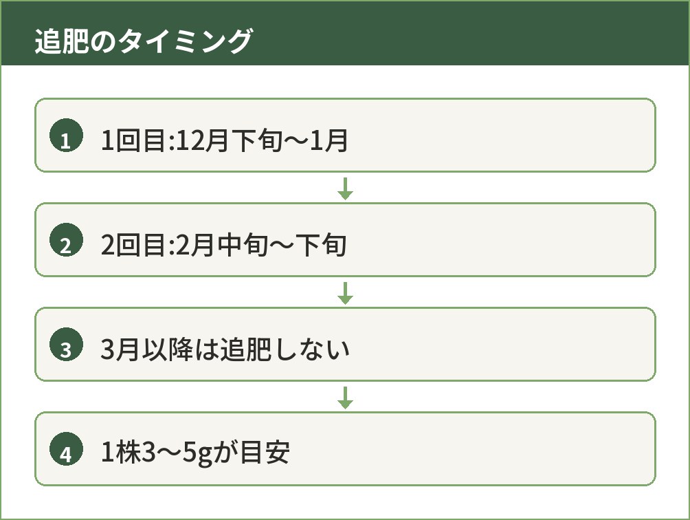 ニンニクの追肥をする時期と量を示した図