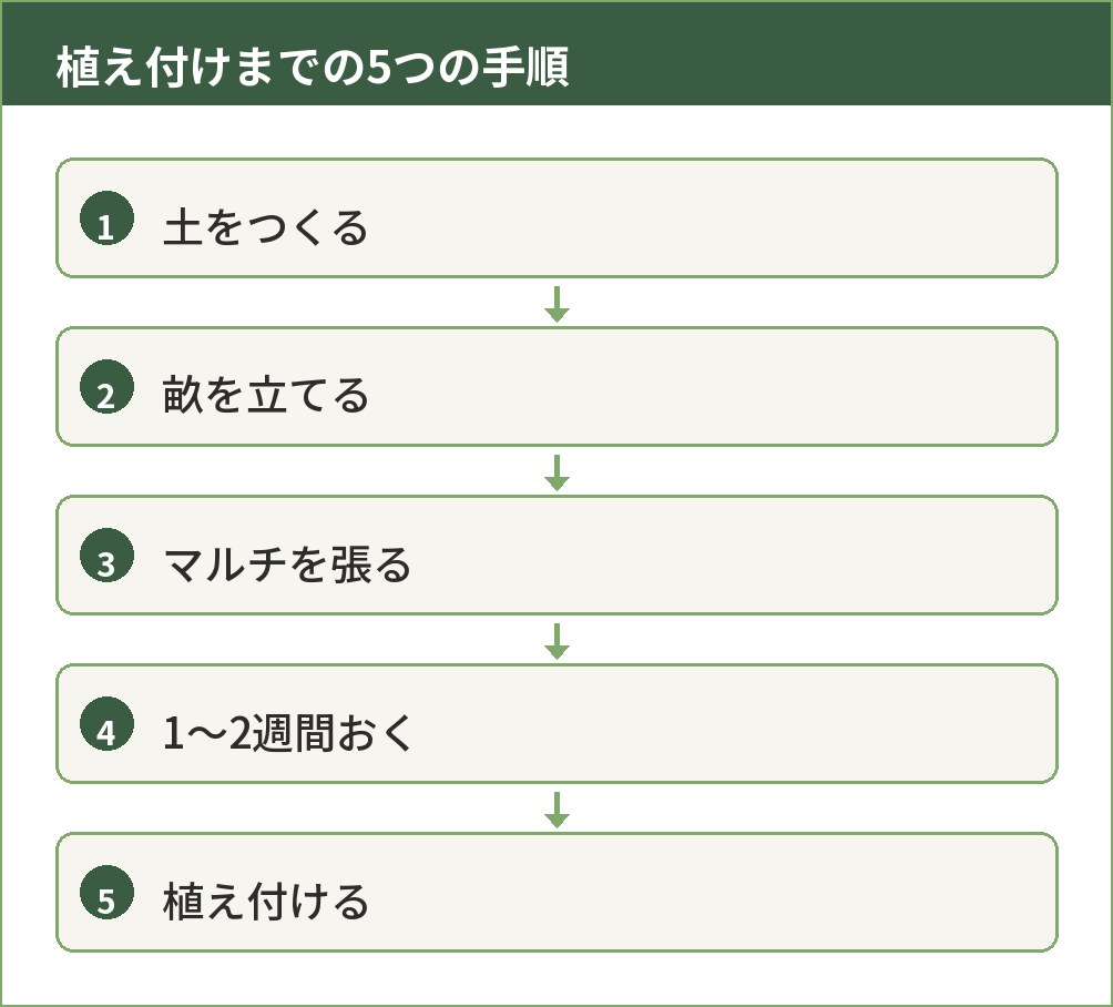ニンニクを植えるまでの5つの手順を示した図