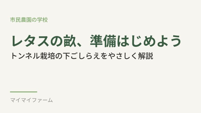 リーフレタスのトンネル栽培、畝立て準備をそろそろはじめよう 