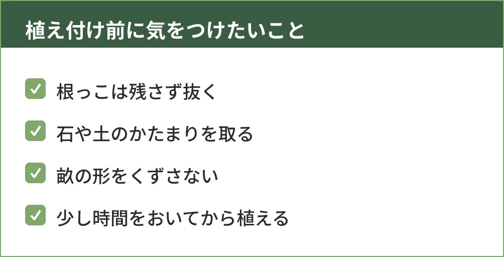 畝立て前後で気をつけるポイントをまとめた図