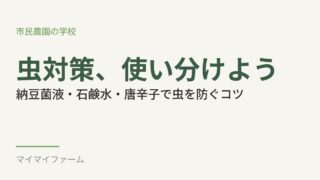 納豆菌液・石鹸水・唐辛子スプレー｜天然資材での虫対策、使い分け方を解説 