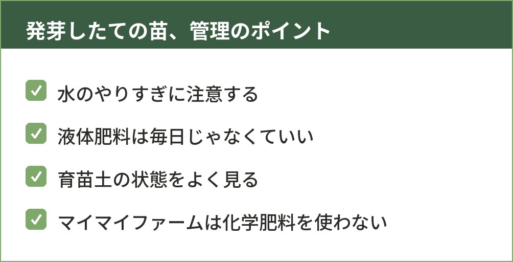 タマネギの発芽直後の苗を管理するときの注意点をまとめた図