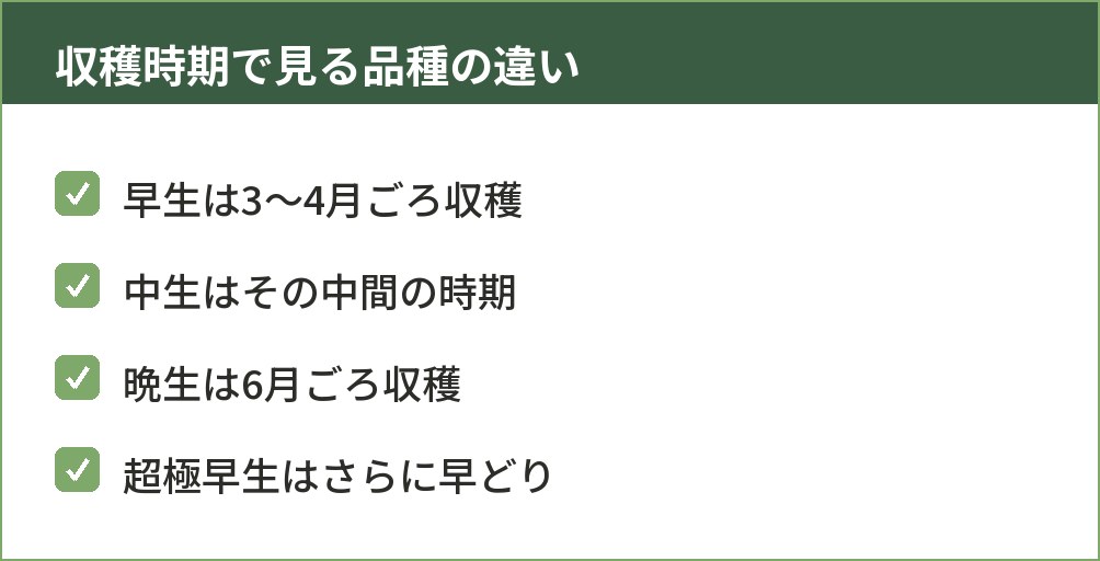 早生・中生・晩生・超極早生の収穫時期を比べた図