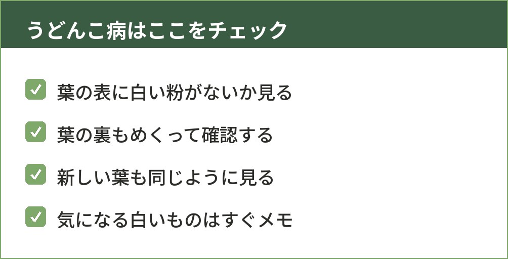 イチゴの葉の表と裏にうどんこ病の白い粉がないか確認するイラスト
