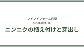 ニンニクの植え付け適期と芽出しのひと手間で発芽促進 