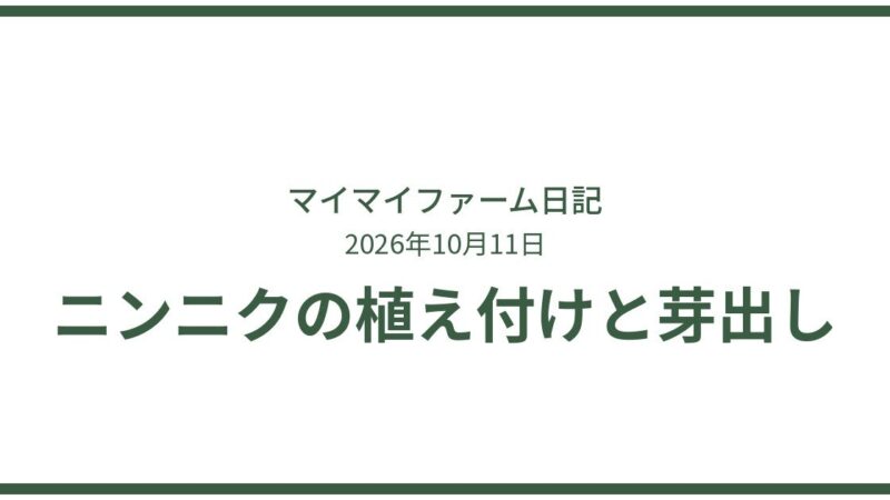 ニンニクの植え付け適期と芽出しのひと手間で発芽促進 